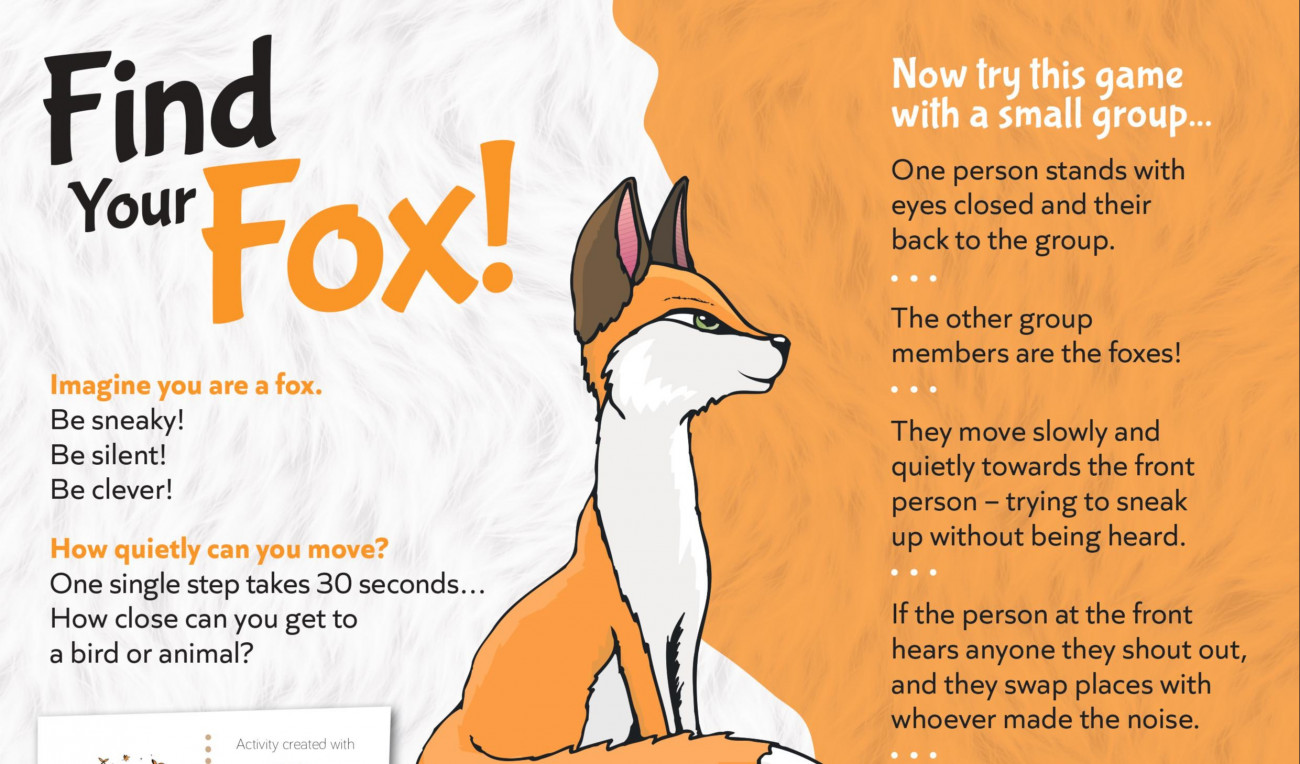 Find your Fox
